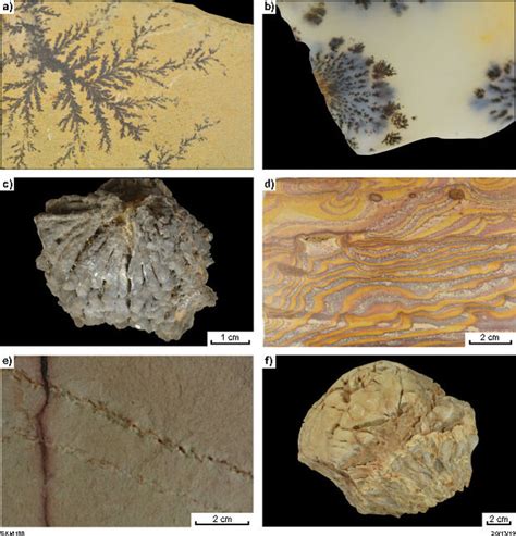 pseudofossils examples.